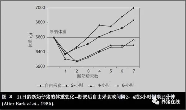 泥鳅养殖技术及饲料配方_饲料配方养殖泥鳅技术视频_饲料泥鳅怎么养