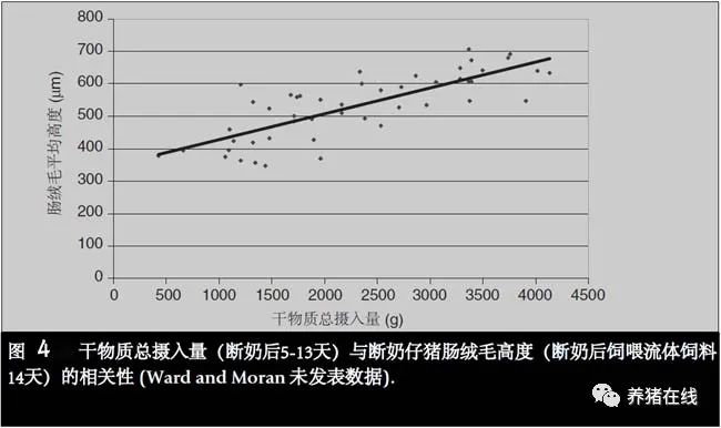 饲料配方养殖泥鳅技术视频_饲料泥鳅怎么养_泥鳅养殖技术及饲料配方