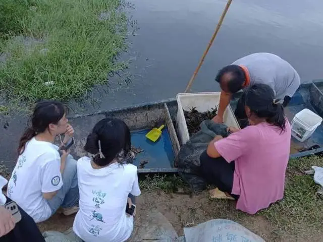 三下乡赋能汉川小洲村：水产养殖托起乡村振兴梦