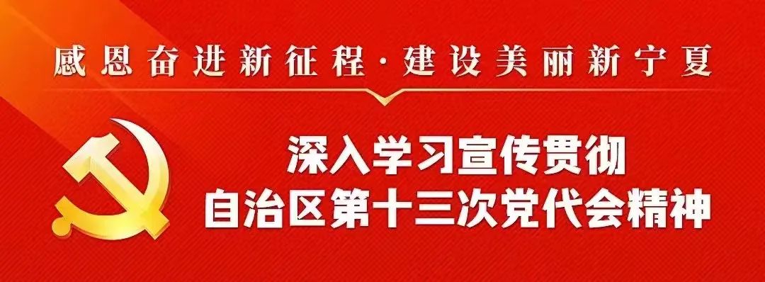 风吹田野话丰收 ——沙坡头区农事速递 | 高营村：“空中西瓜”丰收甜心头