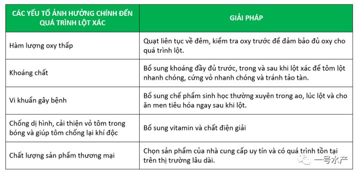 如何养殖虾视频_虾的养殖技术视频_视频虾养殖技术大全