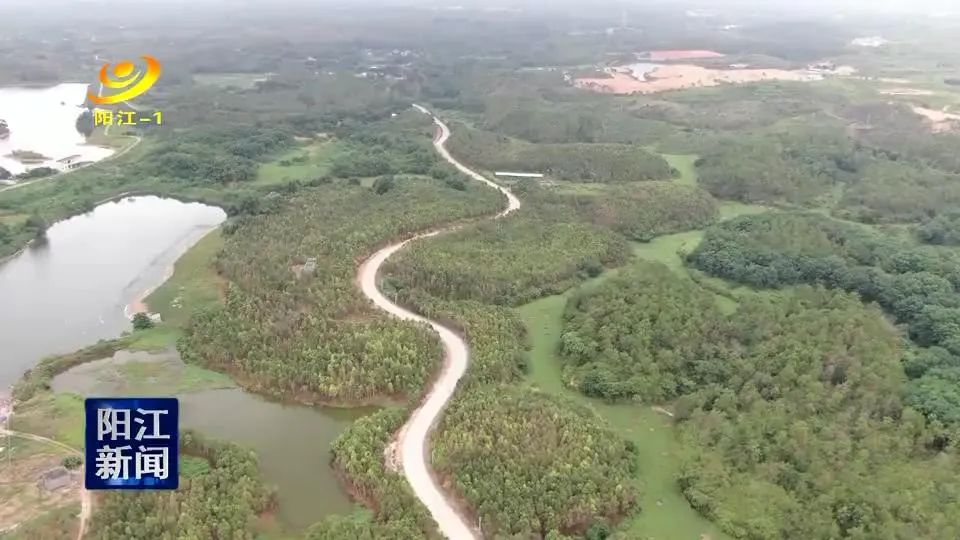 沉香种植方法和注意事项_沉香种植技术视频_沉香栽培与种植技术