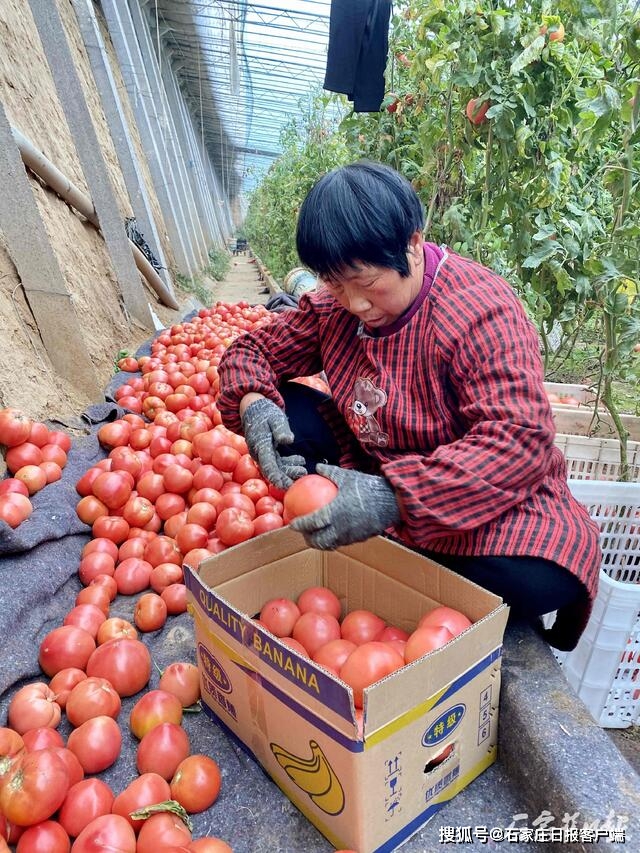 致富养殖村项目招标_致富养殖业_全村养殖致富项目