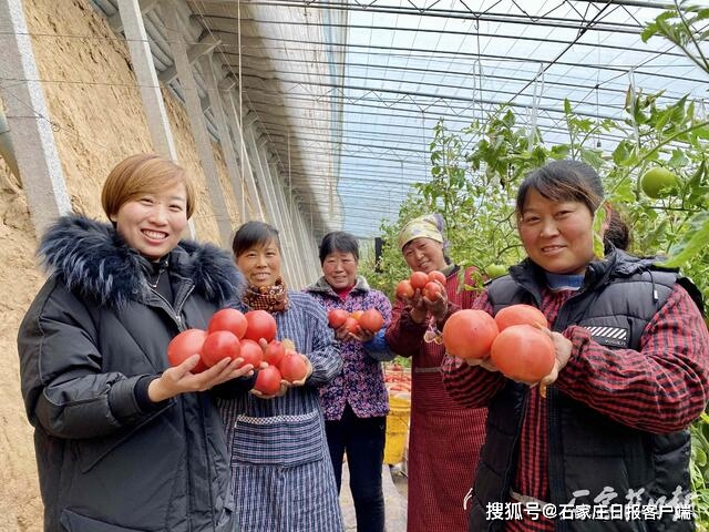 致富养殖村项目招标_致富养殖业_全村养殖致富项目