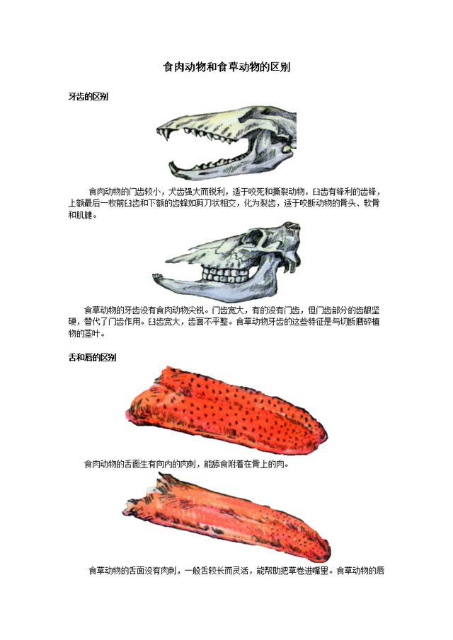 稀奇羊养殖技术_养殖羊稀奇技术有哪些_养殖羊稀奇技术视频