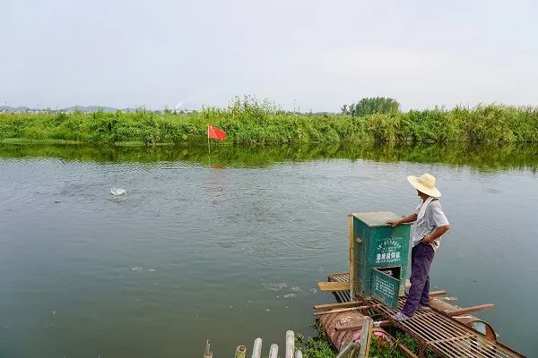 养殖致富经_养殖致富门路_养殖才是致富门