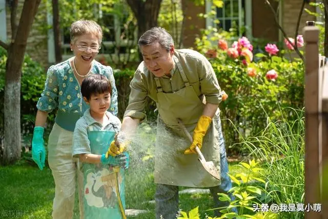 致富退休养殖老人有补贴吗_退休老人养殖致富_农村老人致富项目