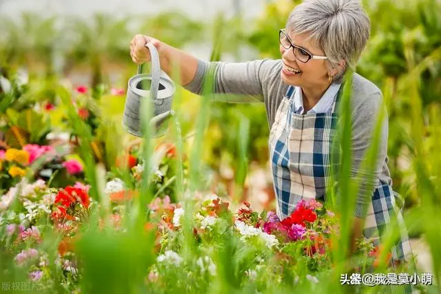 致富退休养殖老人有补贴吗_农村老人致富项目_退休老人养殖致富