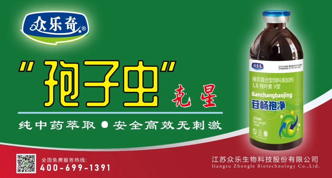 鲫鱼养殖不发病，成本低于5元/斤！10年养鱼高手原来是用了这“三宝”