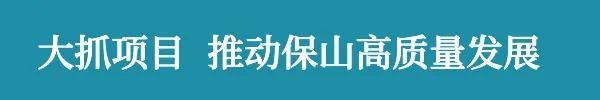 腾冲：三步发力 肉牛产业 “牛”劲十足