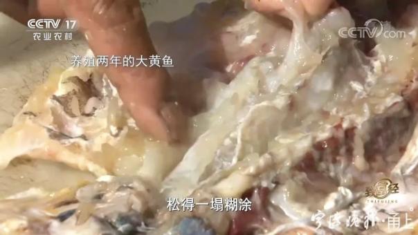 致富养鱼视频_致富养鱼大学生有补贴吗_致富经大学生养鱼