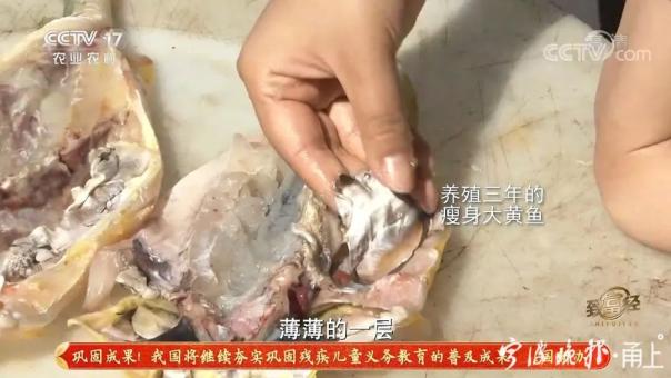 致富经大学生养鱼_致富养鱼视频_致富养鱼大学生有补贴吗