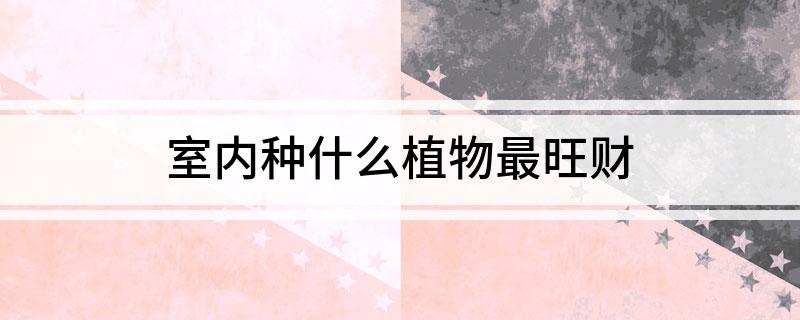 适合室内养殖致富_室内养殖什么好创业_室内养殖致富项目