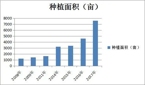 致富种植冬桃怎么样_冬桃种植致富_冬桃种植视频致富经