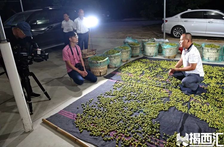 致富经香甜橄榄_致富经油橄榄_橄榄镇鲜甜味主食