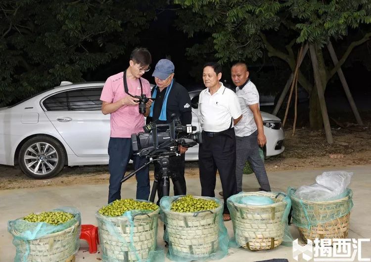 致富经香甜橄榄_橄榄镇鲜甜味主食_致富经油橄榄