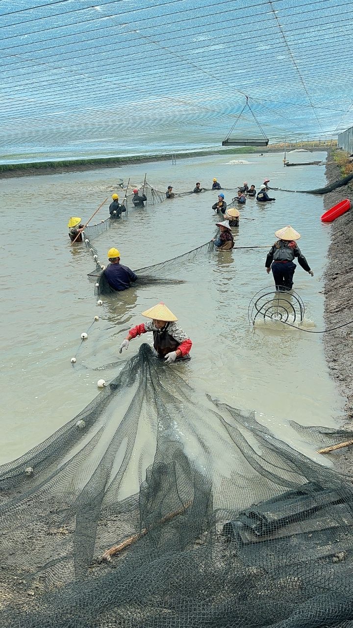 室内养植致富项目_致富养殖室内设计_室内养殖什么致富