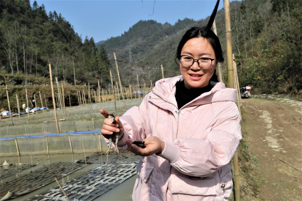 身边事|撂荒地上显生机 养殖牛蛙拓宽致富路