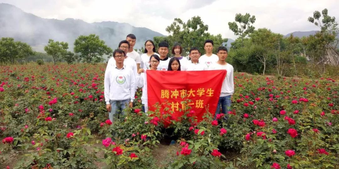 致富饼鲜花在线卖_致富经在线卖鲜花饼_致富饼鲜花在线卖赚钱吗