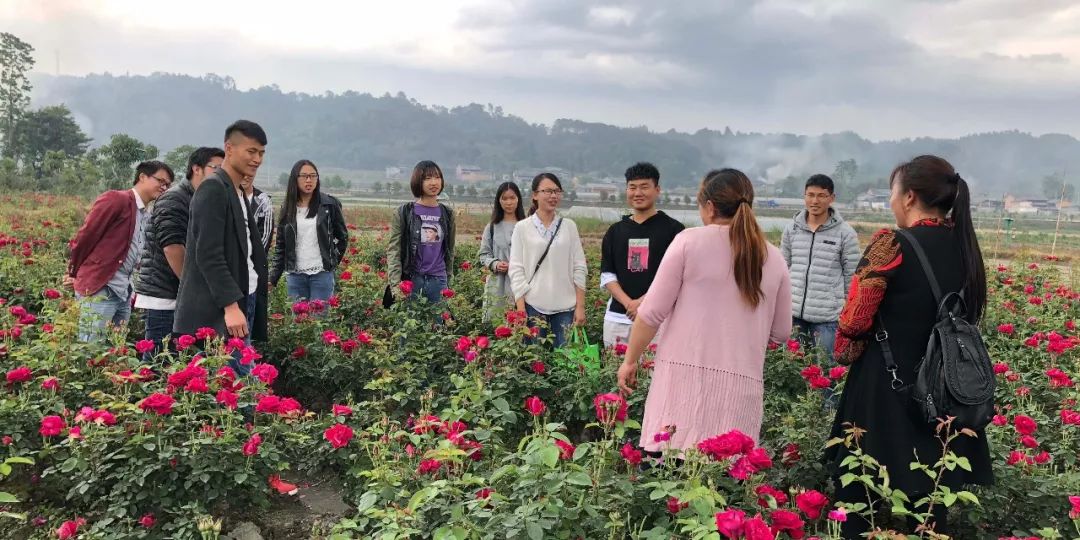 致富饼鲜花在线卖_致富经在线卖鲜花饼_致富饼鲜花在线卖赚钱吗