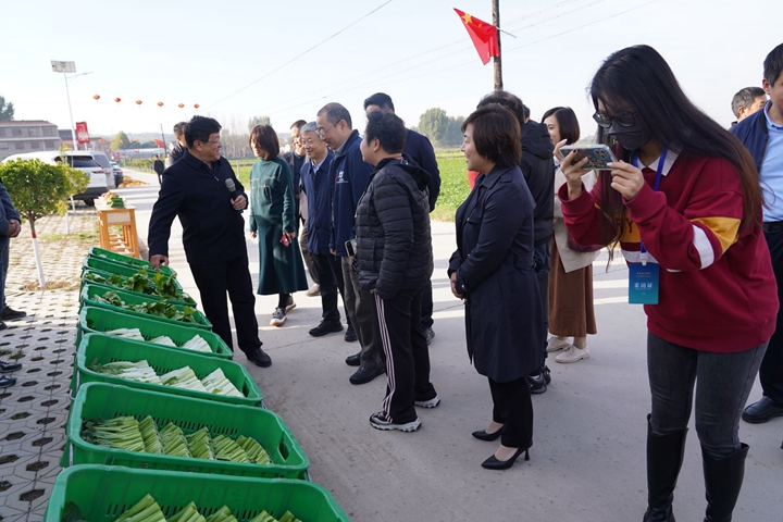 致富种植菜图片真实_种植致富菜图片_致富种植什么比较赚大钱