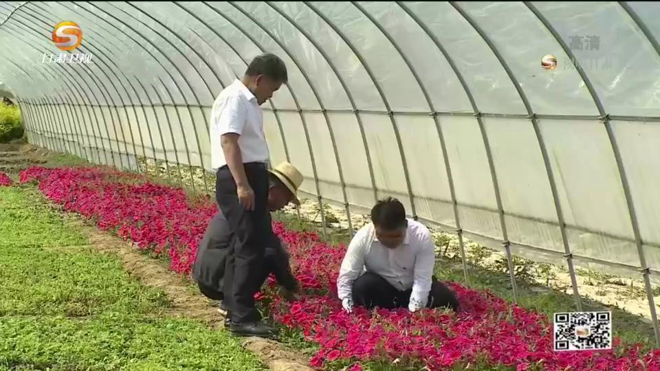 种植致富带头人_致富带头人种植典型事迹材料_致富带头种植简报