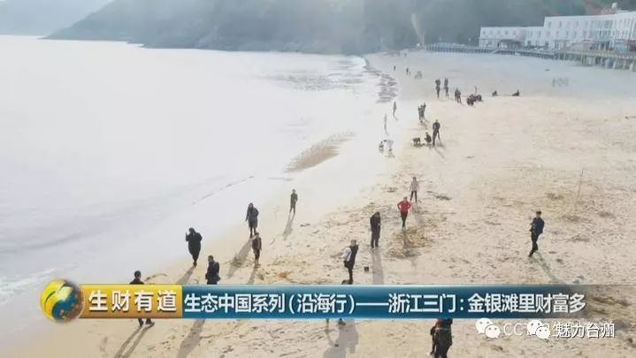 望潮养殖技术_望潮海鲜_望潮可以养吗