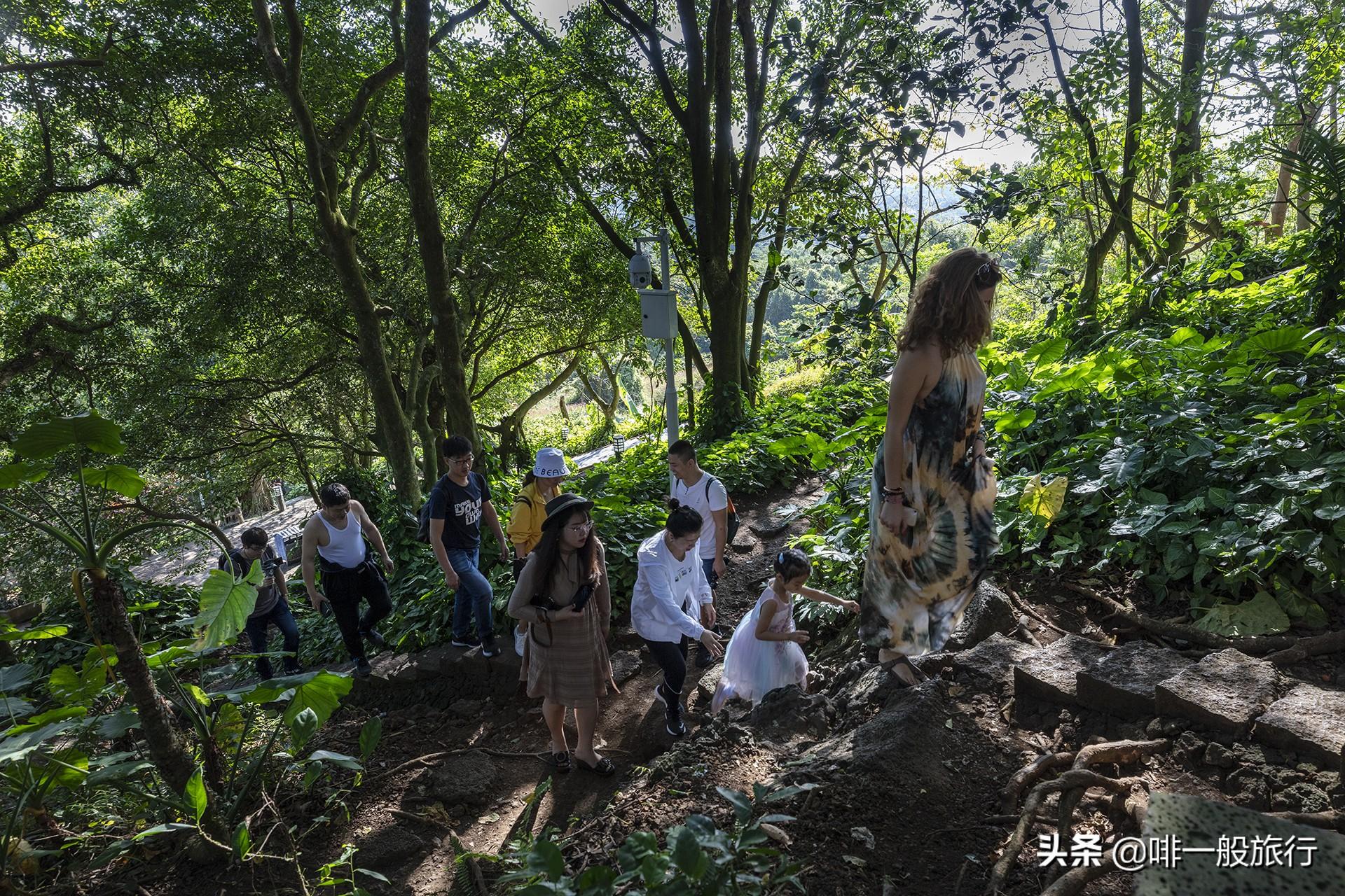 致富经养石鸡电话 地址_致富经养石鸡电话 地址_致富经养石鸡电话 地址