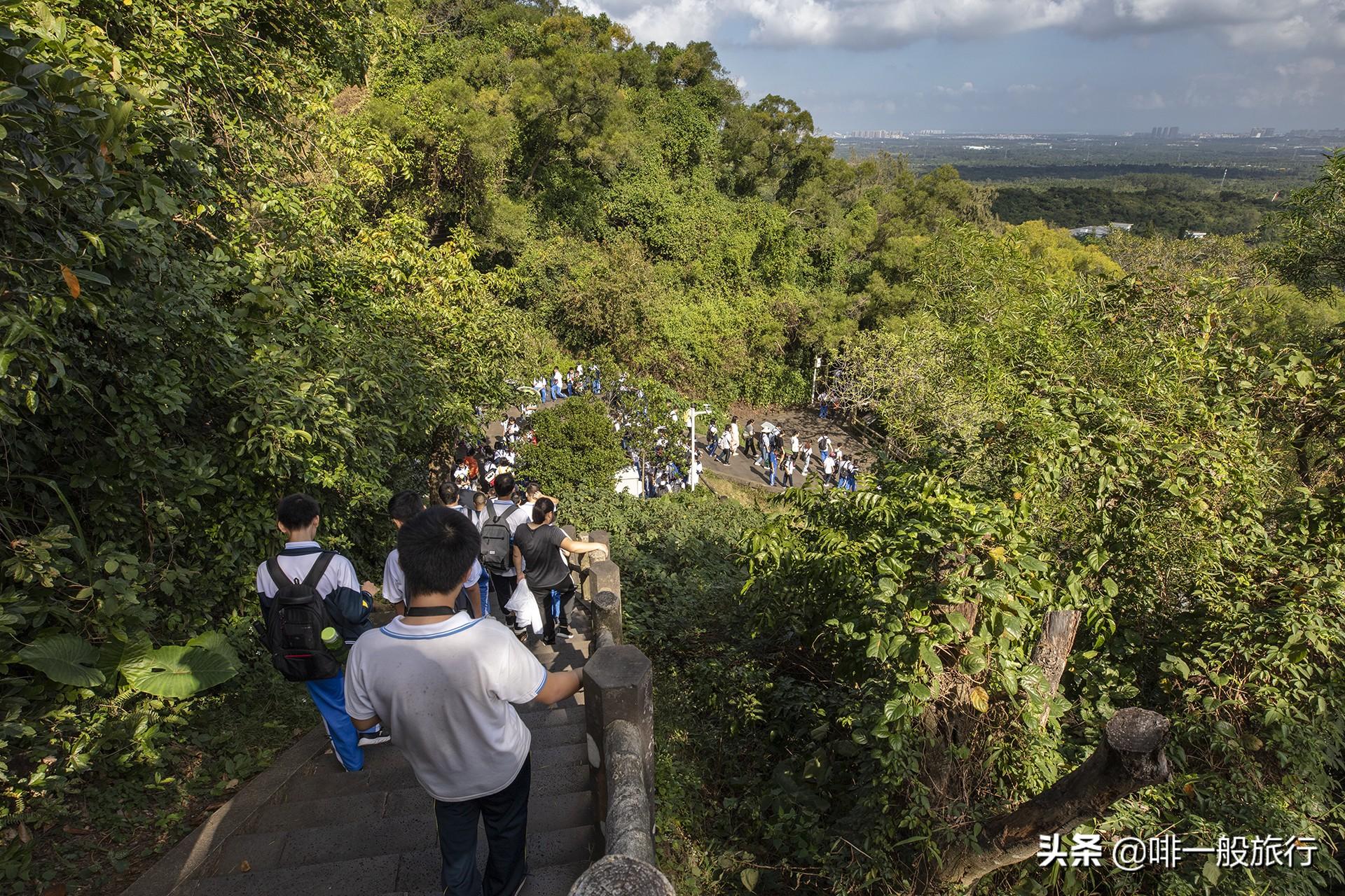 致富经养石鸡电话 地址_致富经养石鸡电话 地址_致富经养石鸡电话 地址