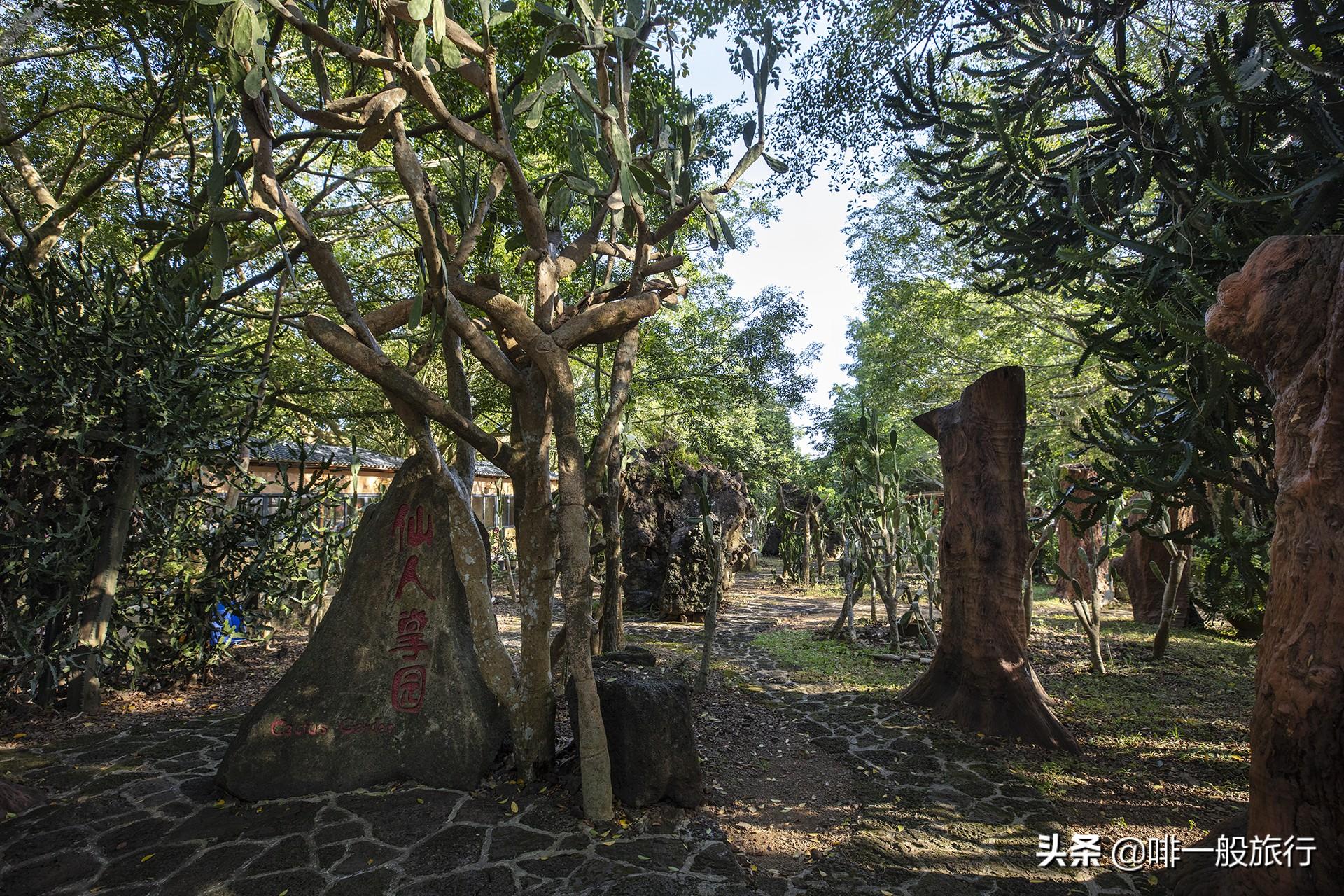 致富经养石鸡电话 地址_致富经养石鸡电话 地址_致富经养石鸡电话 地址