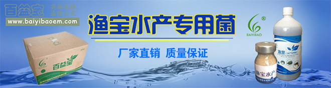 养殖技术林蛙视频_林蛙养殖新技术_林蛙怎么养殖技术