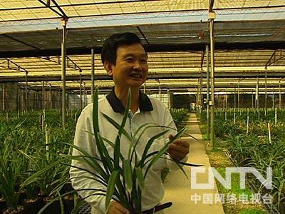 致富经cctv7视频全集种植_致富经栏目靠种植致富_致富种植视频全集