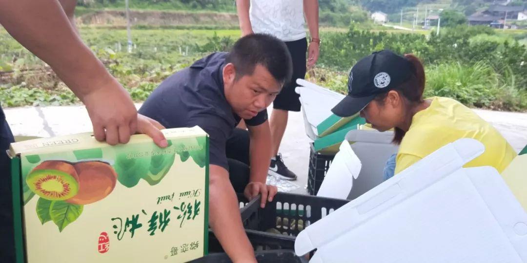 致富经红心猕猴桃_猕猴桃红心多少钱一斤_红心猕猴桃市场前景