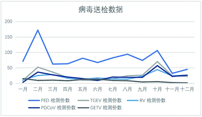 养殖猪肉方法技术视频_养肉猪技术教程大全_肉猪的养殖技术方法