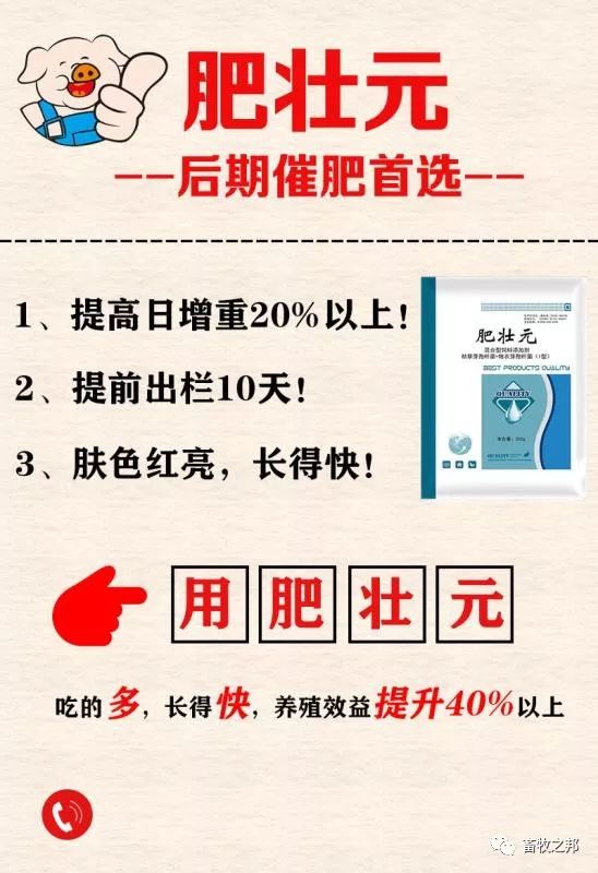 养殖猪肉的最新规定_肉猪的养殖技术方法_养殖猪肉方法技术要点