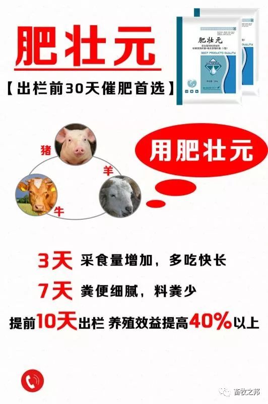 肉猪的养殖技术方法_养殖猪肉方法技术要点_养殖猪肉的最新规定