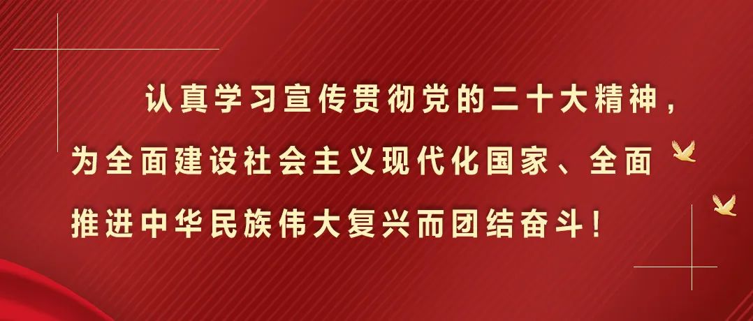 致富经灌汤包_致富经灌汤包_致富经灌汤包