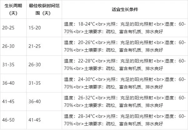 香菜种植技术与时间_香菜栽培时间与管理技术_香菜种植技术时间是多少