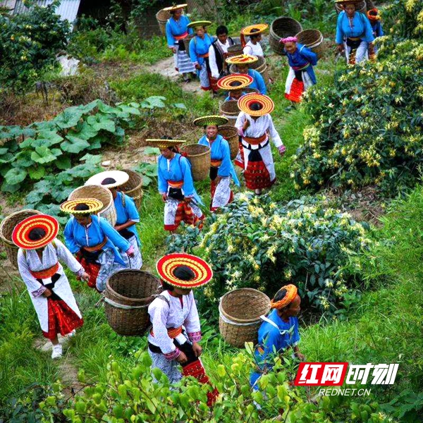 致富栏目种植靠什么赚钱_农业节目致富经种植视频_致富经栏目靠种植致富