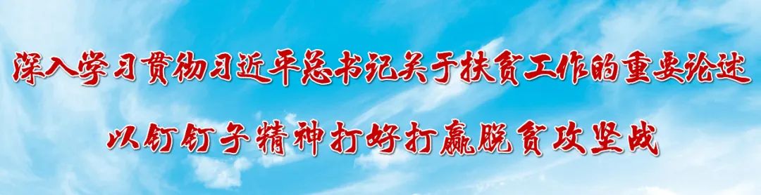 致富川脐橙种植户、脐橙果品加工销售企业的一封信