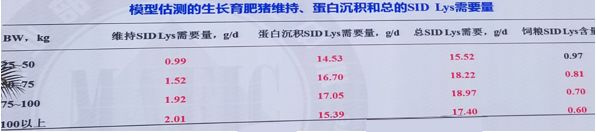 刺猪养殖基地_养殖刺猪技术要求_刺猪养殖技术