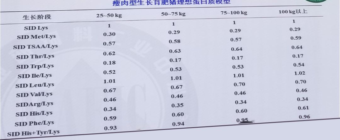 养殖刺猪技术要求_刺猪养殖基地_刺猪养殖技术