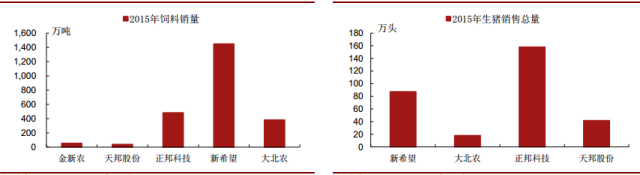 养肉猪技术教程大全_养殖猪肉方法技术视频_肉猪的养殖技术方法