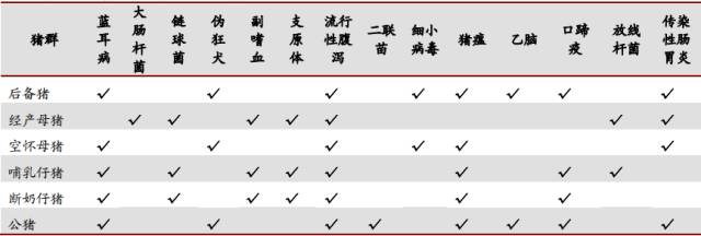 养殖猪肉方法技术视频_肉猪的养殖技术方法_养肉猪技术教程大全