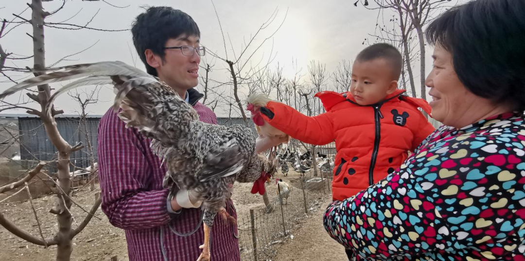 济南金蝉养殖基地_山东哪里有养殖金蝉的合作社_山东济南金蝉养殖技术