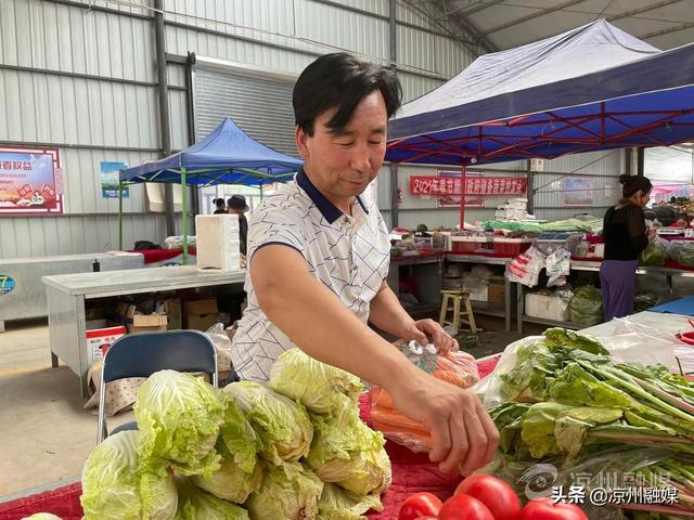 农村残疾人种植致富路_残疾人带领村民致富_农村残疾人致富项目