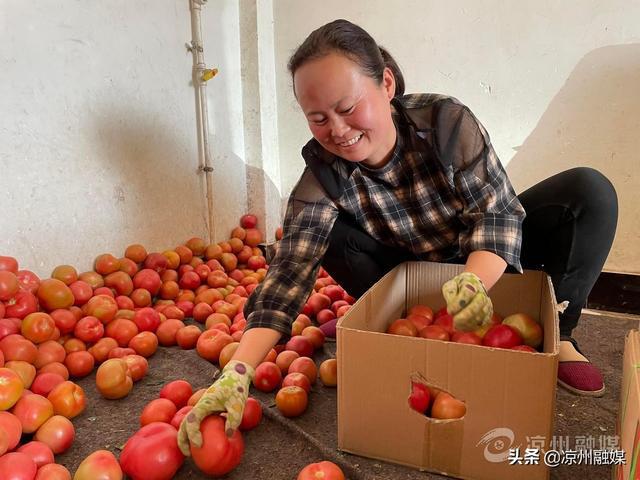 农村残疾人致富项目_农村残疾人种植致富路_残疾人带领村民致富