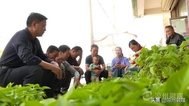 农村残疾人种植致富路_农村残疾人致富项目_残疾人带领村民致富