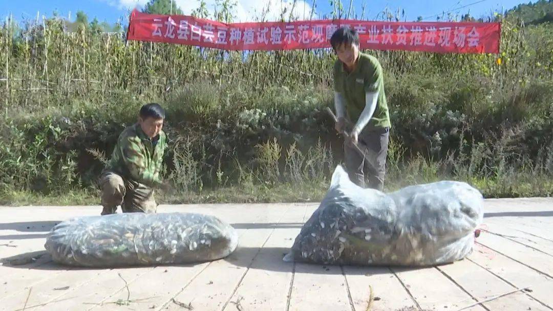 种植致富新项目_致富的种植方法_种植致富经