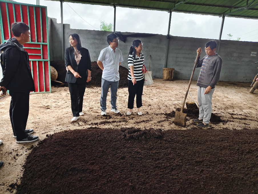 科技赋能粪污处理，撬动雷波肉牛养殖新思路